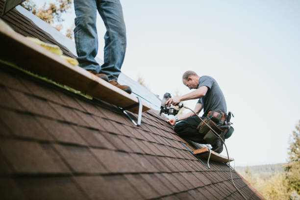 Roof Gutter Cleaning in Brookland, AR
